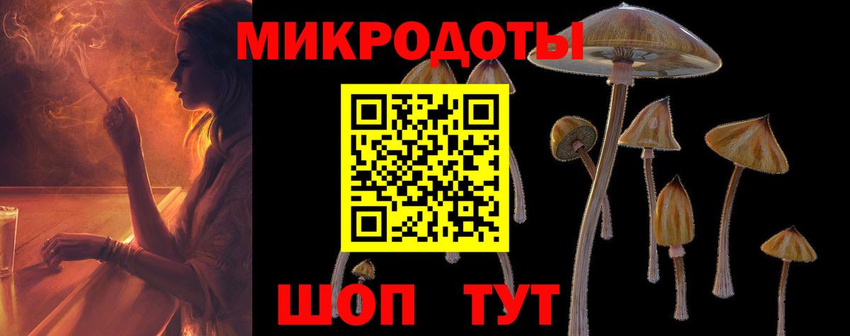 Галлюциногенные грибы Psilocybe Миллерово